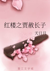 （红楼同人）红楼之贾赦长子